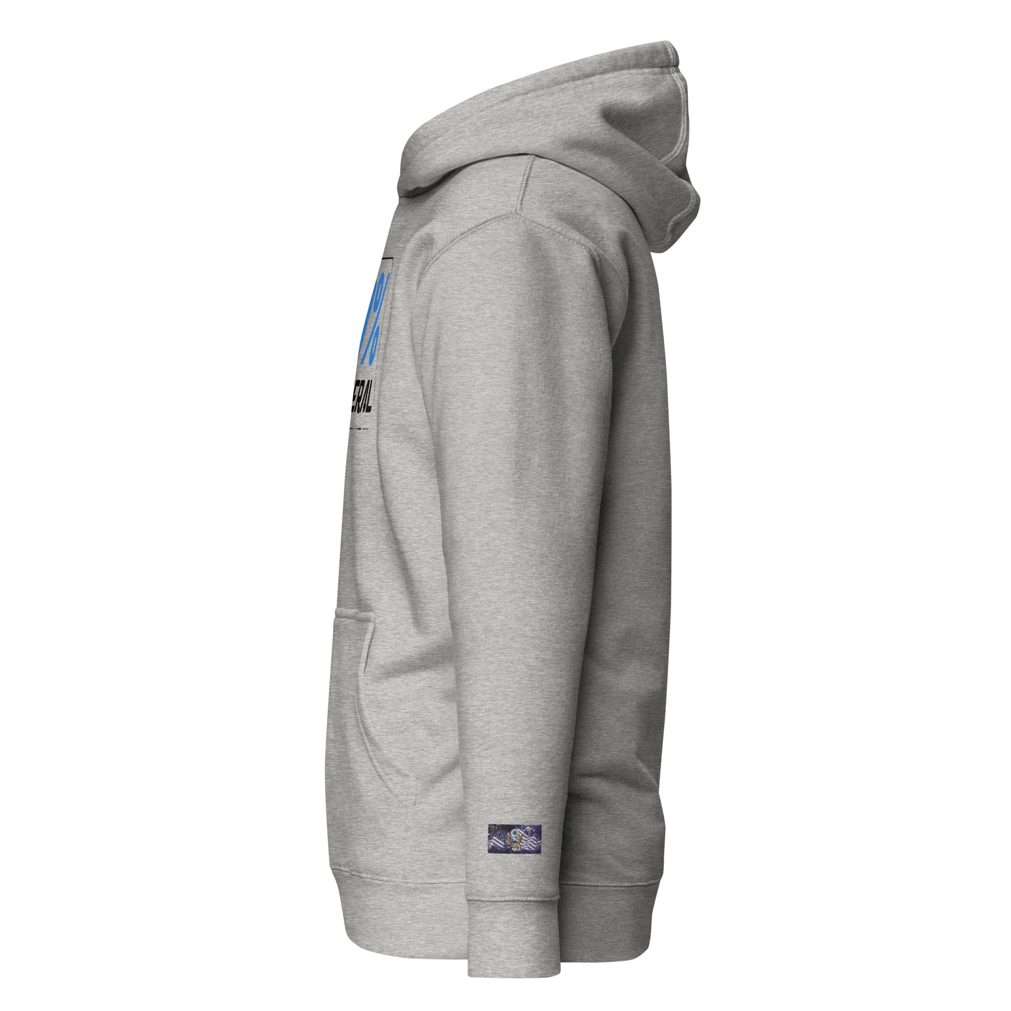 Constitutes - 0% Liberal Political Hoodie. Sterling Gray. Logic & Reasoning. Common Sense. Order Over Chaos.
